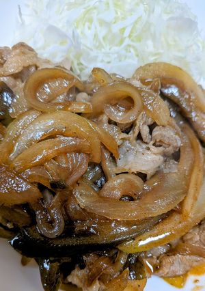 豚肉と茄子と玉ねぎの生姜焼き♪トロトロ♪-レシピのメイン写真