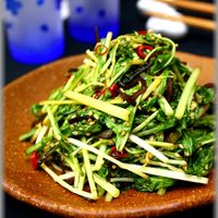 基本からアレンジまで！思わずつくりたくなる「水菜 漬け」のレシピ集