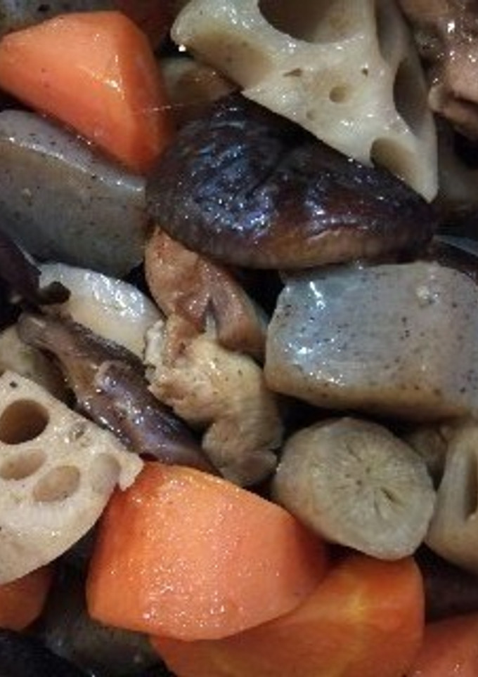 根菜と鶏肉の煮物-レシピのメイン写真