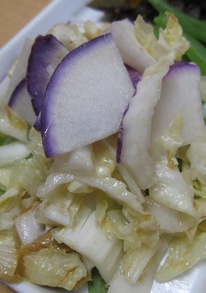 シャキシャキ白菜とカブの練りゴマサラダ-レシピのメイン写真