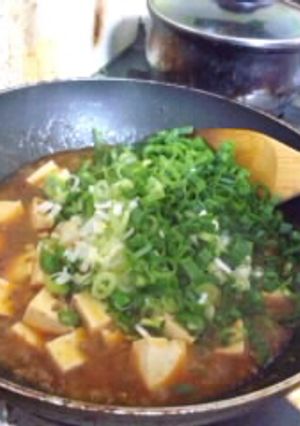 辛めの麻婆豆腐-レシピのメイン写真
