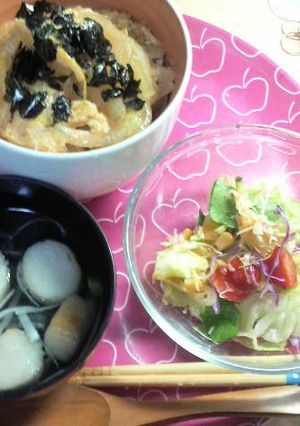 皮だけ使った安上がり親子丼♪-レシピのメイン写真