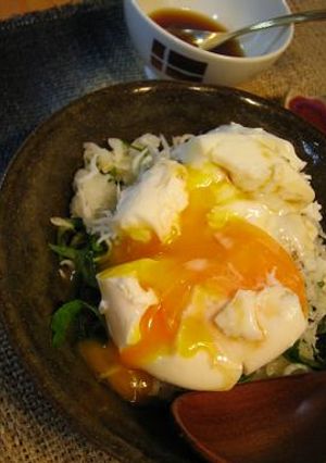 シラスと大根おろし丼・ポーチドエッグのせ-レシピのメイン写真