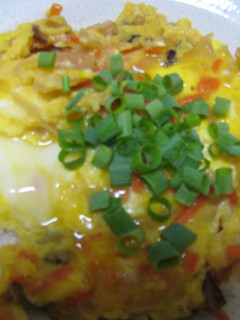 すし太郎の玉子丼!?-レシピのメイン写真