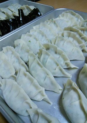 我が家の餃子-レシピのメイン写真