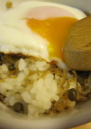 朝ごはんに～トロ玉ちりめん山椒丼-レシピのメイン写真