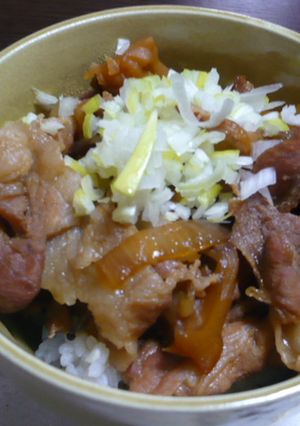 お野菜入り豚丼☆-レシピのメイン写真