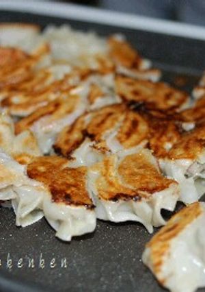 新鮮はくさい餃子-レシピのメイン写真