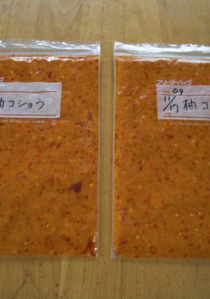オレンジ色の柚子コショウ♪冷凍用-レシピのメイン写真