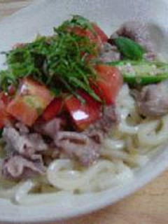 夏にぴったり!さっぱりうどん-レシピのメイン写真