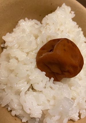 英田上山の梅干しご飯-レシピのメイン写真