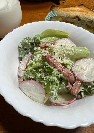かぶとレタスのサラダ-レシピのメイン写真