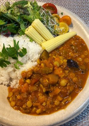 夏野菜たっぷり♪ミックスダールカレー-レシピのメイン写真