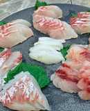 釣って来たチカメキントキとイサキの刺身