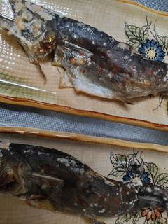 今が、旬の、アマゴの塩焼き。-レシピのメイン写真