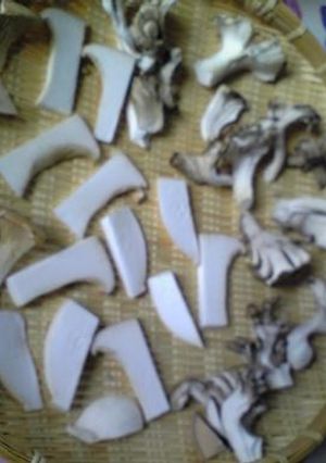 晴れた日に ~干しきのこ作り~-レシピのメイン写真