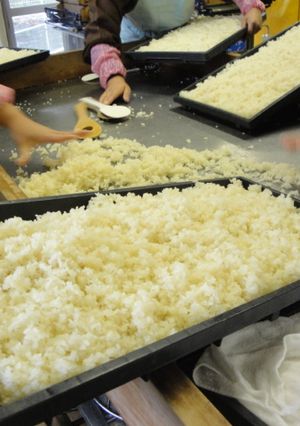 米麹の作り方-レシピのメイン写真