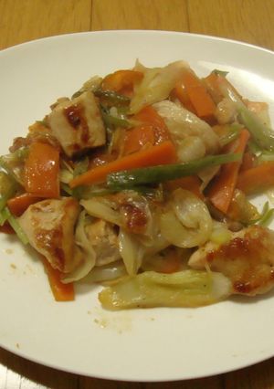長ネギと鶏肉のシンプル･塩炒め-レシピのメイン写真