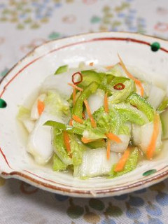 白菜のピリ辛甘酢漬け-レシピのメイン写真
