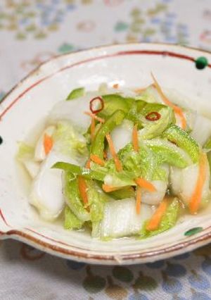 白菜のピリ辛甘酢漬け-レシピのメイン写真