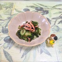 基本からアレンジまで！思わずつくりたくなる「酢のもの 酢」のレシピ