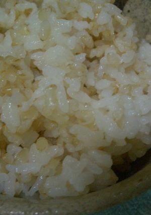 モチモチ美味☆ルクルーゼで玄米＆白米ご飯-レシピのメイン写真