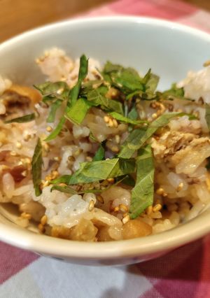 梅稲荷ご飯-レシピのメイン写真