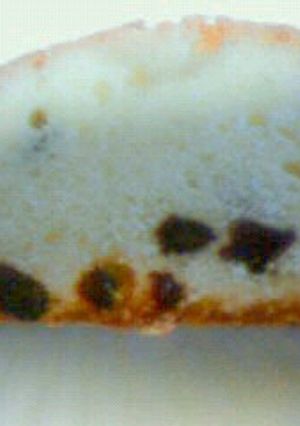 ブランデーとレーズンバターケーキ-レシピのメイン写真