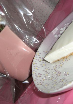 気分爽快！ヨーグルトレアチーズケーキ-レシピのメイン写真