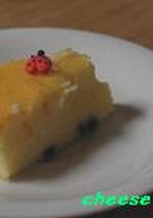 ブルーベリー入りチーズケーキ♪-レシピのメイン写真