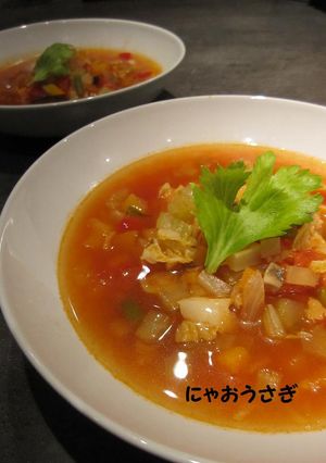野菜スープ Ver.コンカッセ-レシピのメイン写真