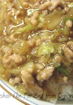 トロ~リ♪豚ひき肉と白菜のあんかけご飯-レシピのメイン写真