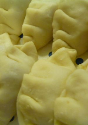皮も手作り♡　もちもち水餃子-レシピのメイン写真