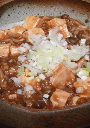 うちの定番　陳ｻﾝ風★本格麻婆豆腐-レシピのメイン写真