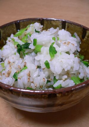 じゃこ入りかんたん菜飯-レシピのメイン写真