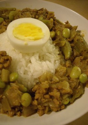 とろぉりガンボなすカレー-レシピのメイン写真