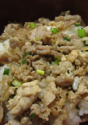 こまぎれ豚肉で簡単おいしい!!ブタ丼-レシピのメイン写真