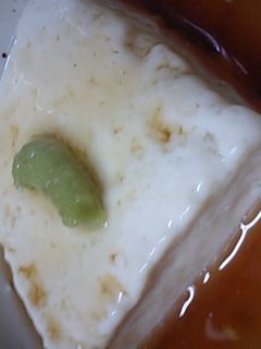 あんかけ豆腐-レシピのメイン写真