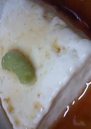 あんかけ豆腐-レシピのメイン写真