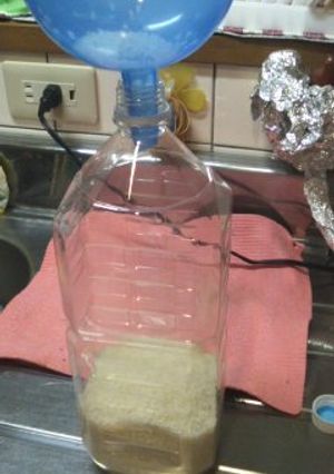 【保存法】ペットボトルde米⇒in冷蔵庫-レシピのメイン写真