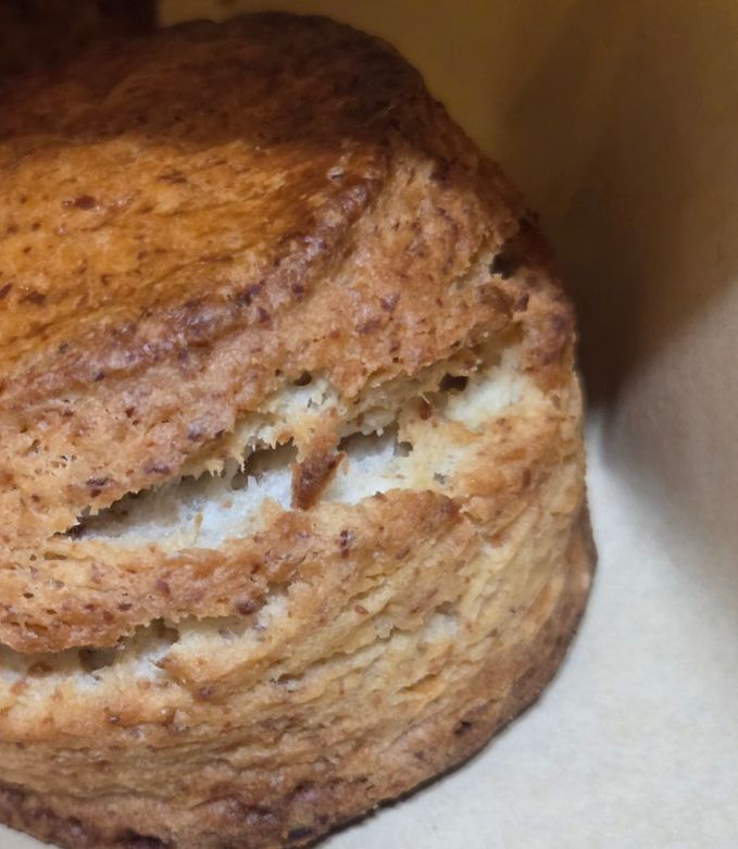 色々な意味でリッチな腸活スコーン-レシピのメイン写真