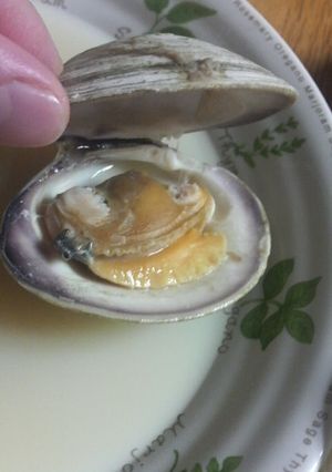 蛤(あさりもＯＫ)の上手な食べ方！-レシピのメイン写真