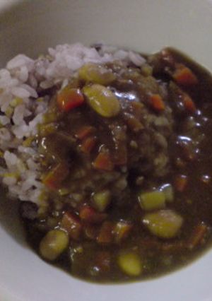 カレーの隠し味-レシピのメイン写真