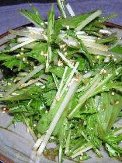 60秒で簡単水菜サラダ-レシピのメイン写真