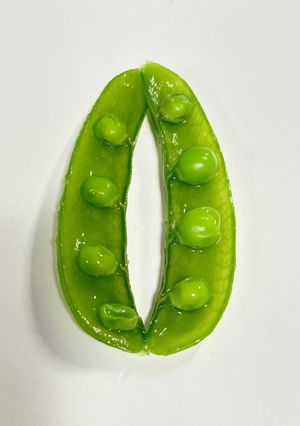 スナップえんどう🌱筋とり✨ゆで方🎶開き方-レシピのメイン写真