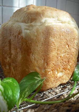 HBで油脂なし♪早焼きご飯入り食パン-レシピのメイン写真