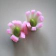 お弁当に♪ カマボコと枝豆のお花