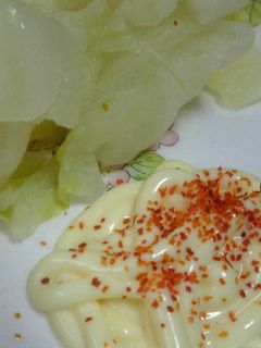 白菜の浅漬けの美味しい食べ方♪-レシピのメイン写真