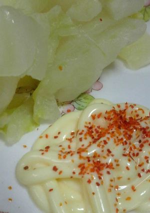 白菜の浅漬けの美味しい食べ方♪-レシピのメイン写真