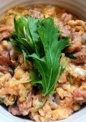 他は食べれなくなると言われたハラミ親子丼-レシピのメイン写真